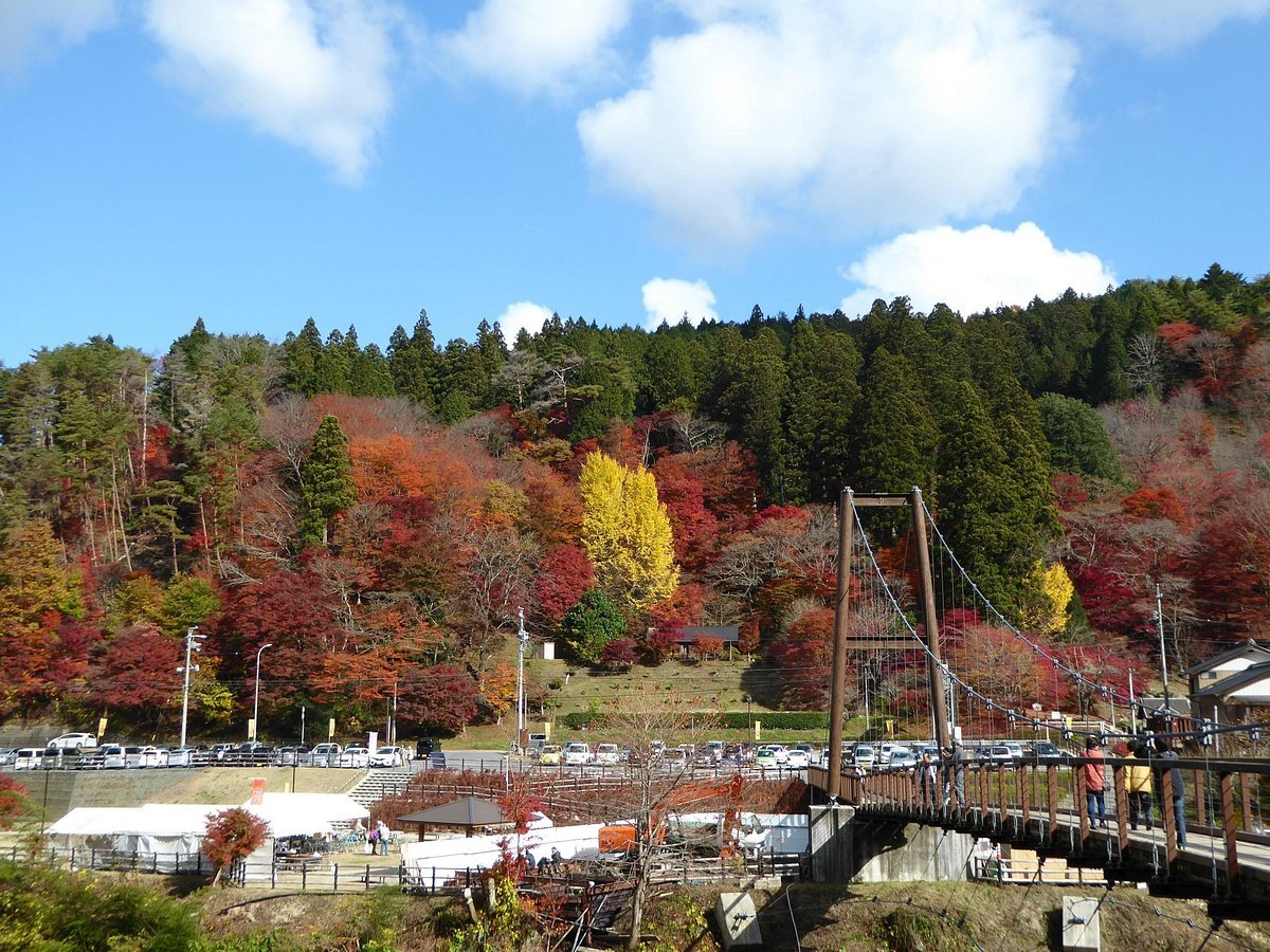 🏞️ 오이다이라 공원(오이다이라 코엔) 이미지 5